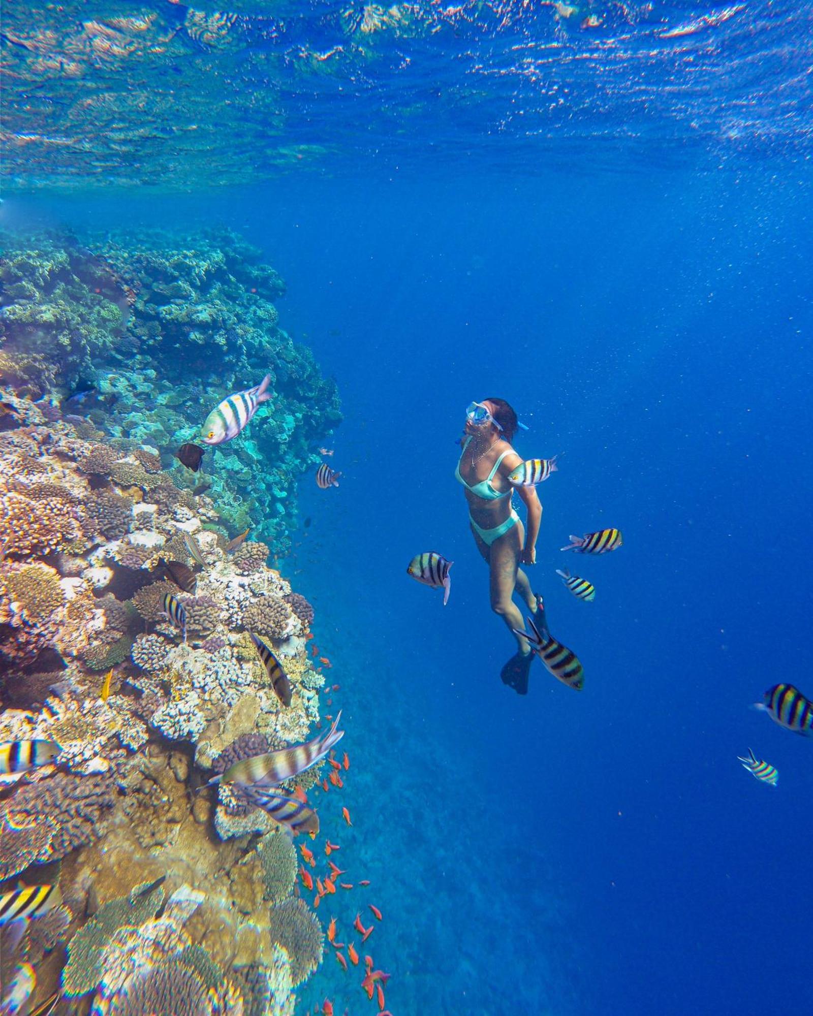 Resort Tamra Sharm El-Sheikh